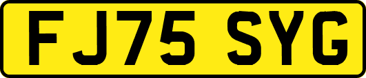 FJ75SYG