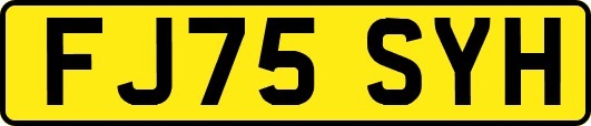 FJ75SYH