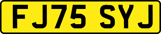 FJ75SYJ