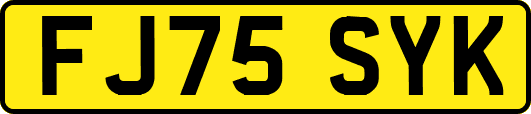 FJ75SYK