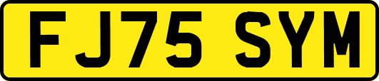 FJ75SYM