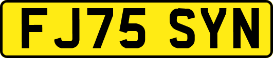 FJ75SYN