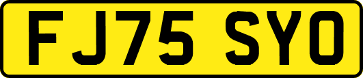 FJ75SYO