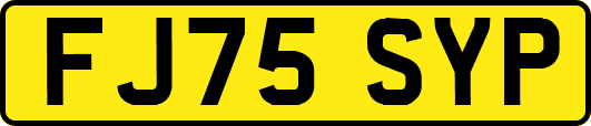 FJ75SYP