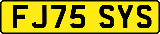 FJ75SYS