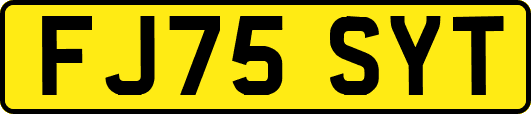 FJ75SYT