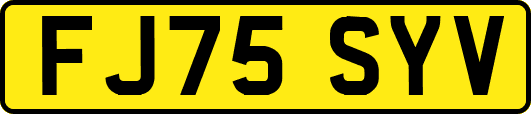 FJ75SYV