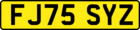 FJ75SYZ