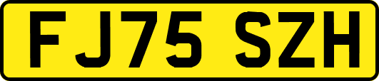 FJ75SZH