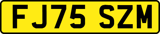 FJ75SZM