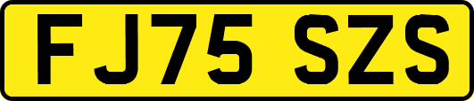 FJ75SZS