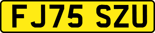 FJ75SZU