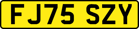 FJ75SZY