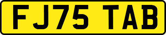 FJ75TAB