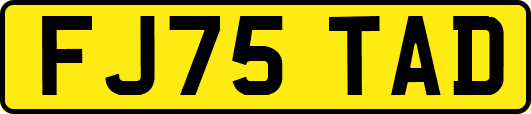 FJ75TAD