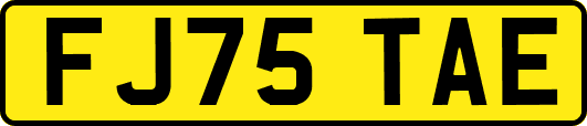 FJ75TAE