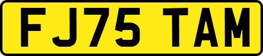 FJ75TAM
