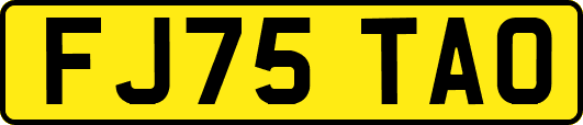 FJ75TAO