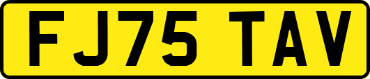 FJ75TAV