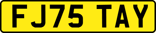 FJ75TAY