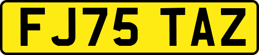 FJ75TAZ