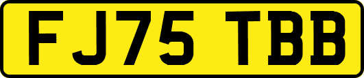 FJ75TBB