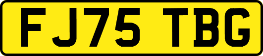 FJ75TBG