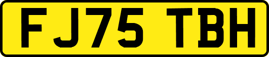 FJ75TBH