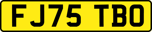 FJ75TBO