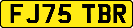 FJ75TBR