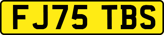 FJ75TBS