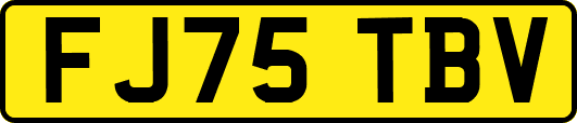 FJ75TBV
