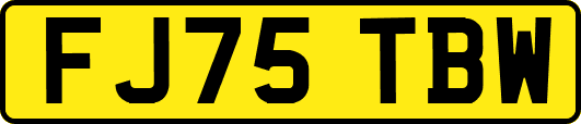 FJ75TBW