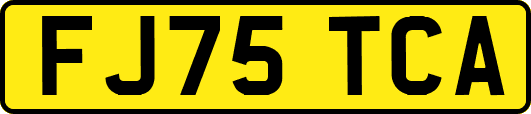 FJ75TCA
