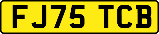 FJ75TCB