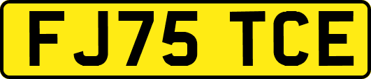 FJ75TCE