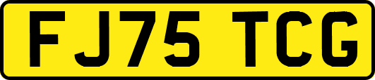 FJ75TCG