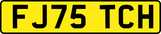 FJ75TCH