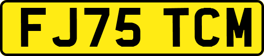 FJ75TCM