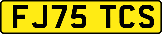FJ75TCS