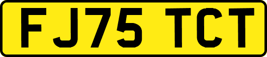 FJ75TCT