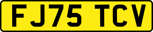 FJ75TCV