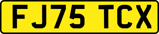 FJ75TCX