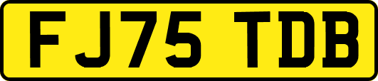 FJ75TDB