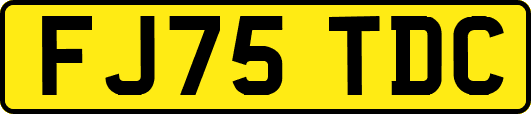 FJ75TDC