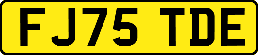 FJ75TDE