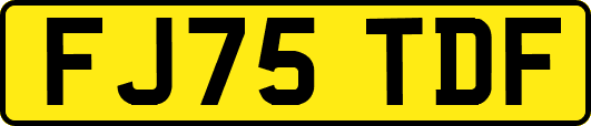 FJ75TDF