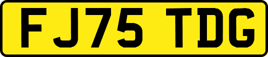 FJ75TDG