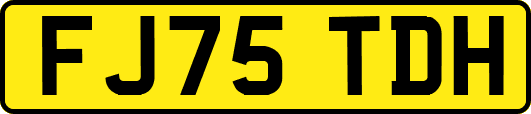 FJ75TDH