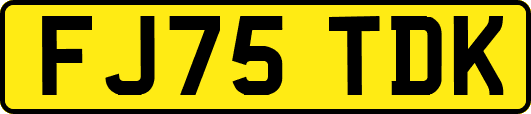 FJ75TDK